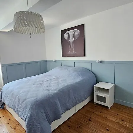 بيت للعطل Cocon Chaleureux Au Coeur D'albi ألبي