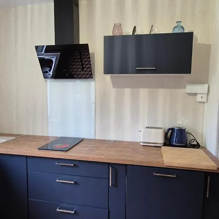 Cocon Chaleureux Au Coeur D'albi بيت للعطل *