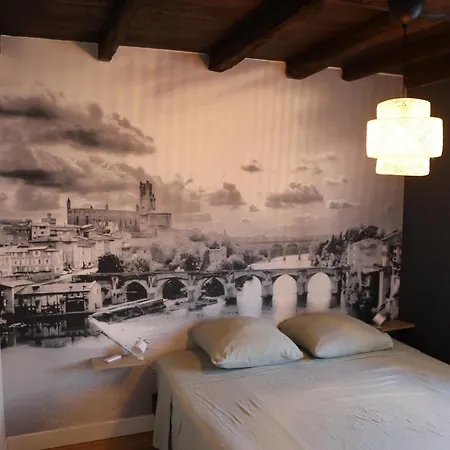 Cocon Chaleureux Au Coeur D'albi