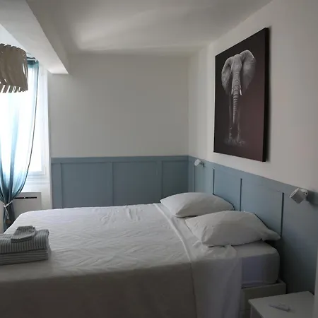 Cocon Chaleureux Au Coeur D'albi ألبي