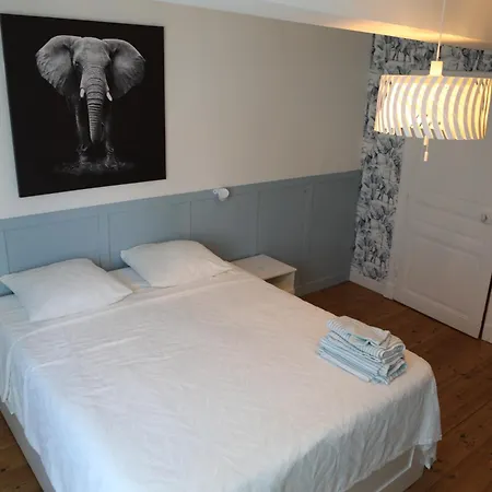 Cocon Chaleureux Au Coeur D'albi ألبي