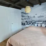 Cocon Chaleureux Au Coeur D'albi Albi