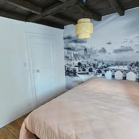 Cocon Chaleureux Au Coeur D'albi Альби