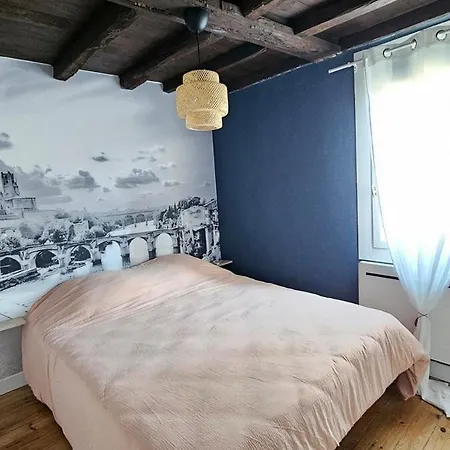 Cocon Chaleureux Au Coeur D'albi * Альби