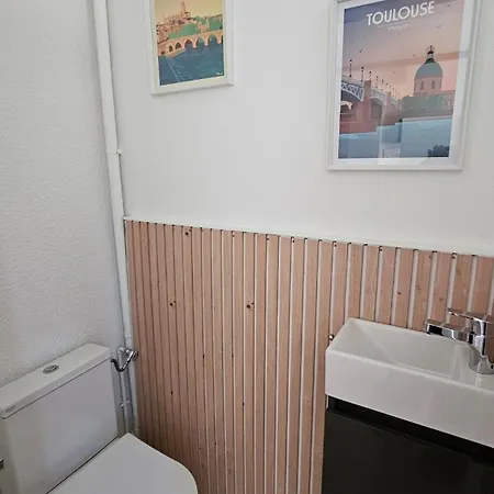 Дом отдыха Cocon Chaleureux Au Coeur D'albi *