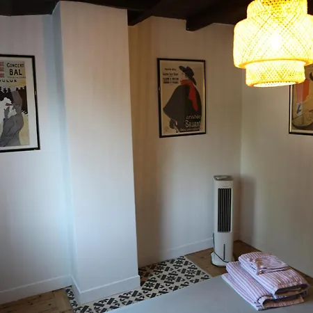 Cocon Chaleureux Au Coeur D'albi Albi