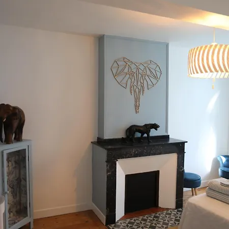 Cocon Chaleureux Au Coeur D'albi Vakantiehuis *