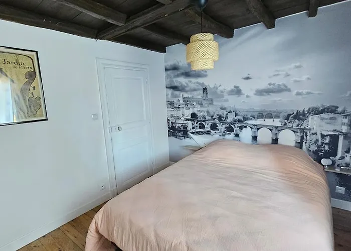 Cocon Chaleureux Au Coeur D'albi Albi