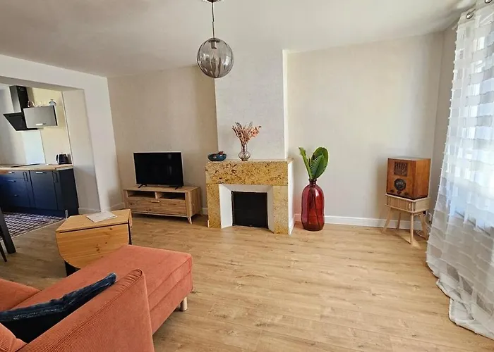 Cocon Chaleureux Au Coeur D'albi Holiday home *